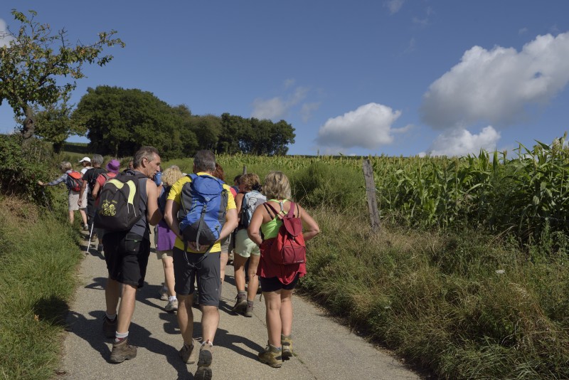 Rando du mois : Forêt domaniale Cours-et-Buis